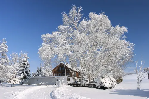 Allgäu peace and serenity in the middle of nature, on a donkey farm - 2-Sterne