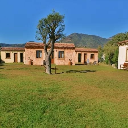 B&B Pubulos