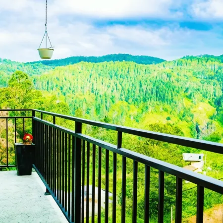 Wonder Mount Resort
