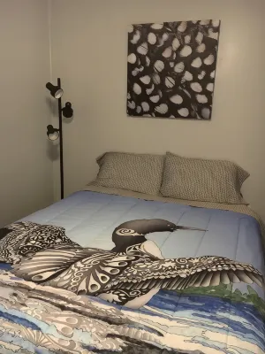 The Loon-ey Bin - Loon themed cottage less than 10 miles to Lake George - Homestays