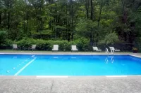 Catskill Seasons Inn - Swimmingpools