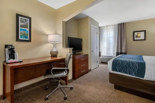Comfort Inn Ocala Silver Springs - baignoire