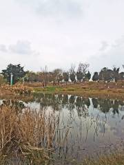 Moonlight over the Lotus Pond, Sanshenghua Township