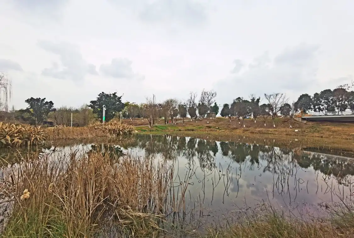 三聖花郷荷塘月色周辺のホテル