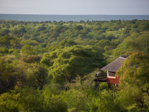 Elewana Tarangire Treetops