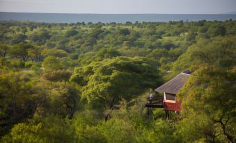 a man standing on a balcony overlooking a lush green forest with the ocean in the background at Elewana Tarangire Treetops