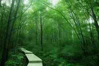 Sheraton Changbaishan Resort