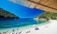 Dragan's Den Hostel - Pet-friendly