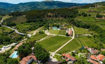 Lavandeira Douro Nature & Wellness