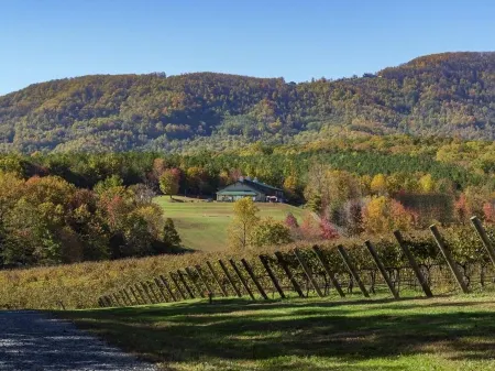 Viognier-Newly Constructed Cottage at Jones von Drehle with Master Suite Отели в г. Трапхилл