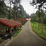 Surya Hotel & Resort Baturraden - parking