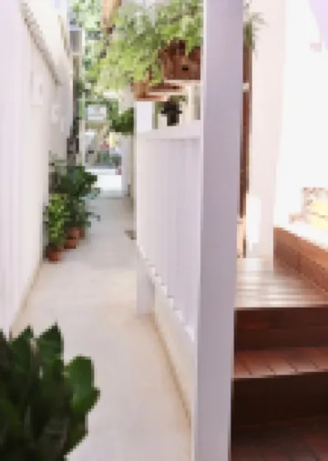 Peixe Crew Rua Das Pedras