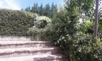 I Gelsomini Hotels in Rapolla