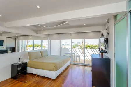 Magia by Stella Rentals