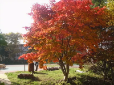 Pension Shiroi Tsubasa