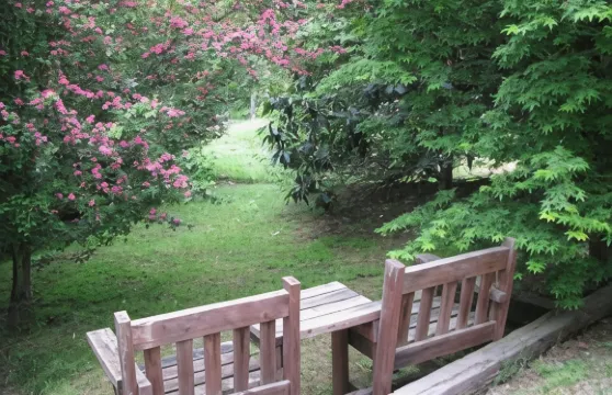 利菲爾德小屋住宿加早餐旅館