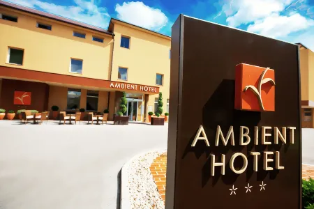 Ambient Hotel Отели в г. Трзин