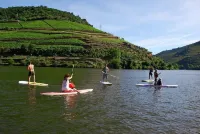 Entire house overlooking Douro River