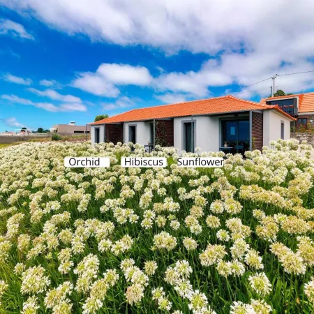 OurMadeira - Quinta Inácia
