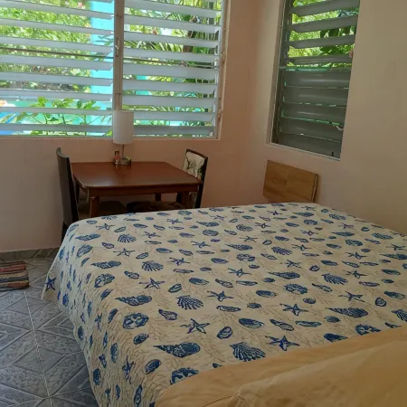 Room w/ba AC Wi-Fi in Esperanza Apt. 1