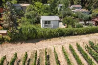 Melody Vineyard Cottage - Homestays