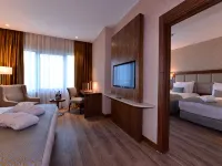 Clarion Hotel Istanbul Mahmutbey Hotels near Bagcilar