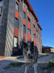 Desierto Suites