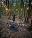 Private Wooded Escape + Fire Pit and Screen Porch - Homestays