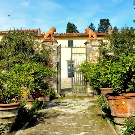 OLIVE TREES - FARMHOUSE ESTATE SAN DONATO