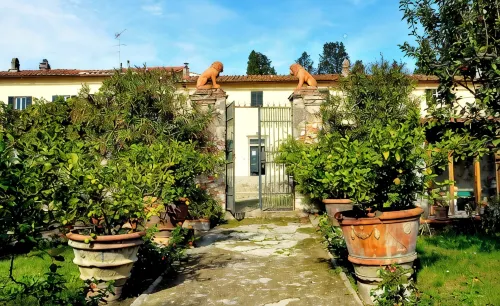 OLIVE TREES - FARMHOUSE ESTATE SAN DONATO