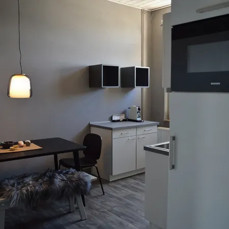 Apartment Pureney- Stadtmitte- Whg. 3