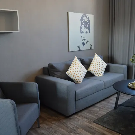 Apartment Pureney- Stadtmitte- Whg. 3
