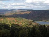 182 Shamrock Circle, Snowshoe, WV 26209  4 bedroom + loft on the top of the mtn