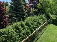 Cozy family home. Min to downtown, beaches, golf, and trails! Hôtels à : Cornwall