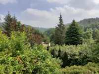 Talblick 2 - Your home: the vacation home in the middle of the idyllic valley - Homestays