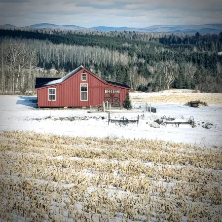 Mountain View Cabins #2