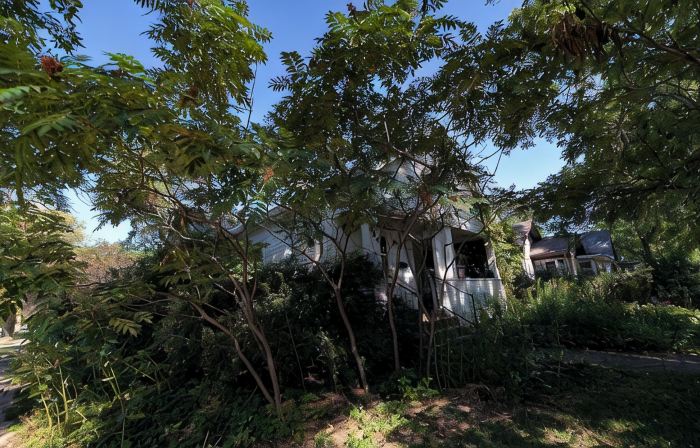 Bohemian 3-bedroom house with private yard in charming neighborhood