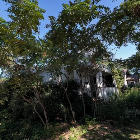 Bohemian 3-bedroom house with private yard in charming neighborhood