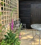 Contemporary cottage in lovely Devon village. - Country Houses