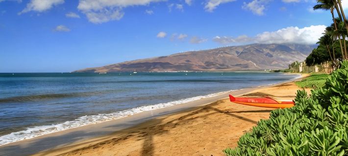 Indulge, just steps to pristine beaches, restaurants & shopping. Hotele w: Kihei