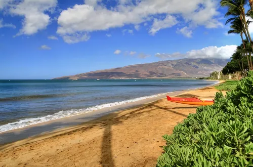 Indulge, just steps to pristine beaches, restaurants & shopping. - Boutique