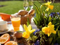 Avital Resort - breakfast