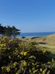 Sunset Cottage, Cosy et rénové, Entre Dunes et Plage - Homestays