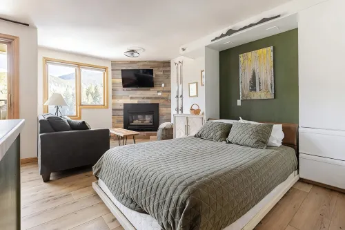 Ski-InSki-Out MountainView-Newly Remodeled Bldg. C Unit #4013