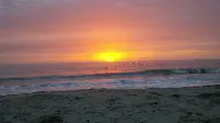 Completely Renovated Pink Sea House on North Beach, Tybee Island - Strand