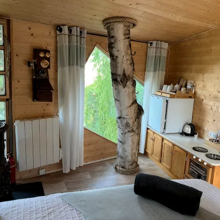 Charming tree house