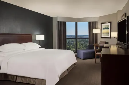 Hilton Houston NASA Clear Lake