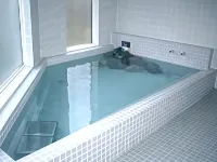 Pension Ing Tomamu - Hot Springs