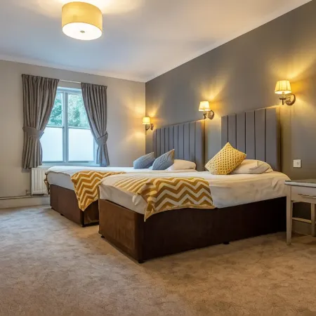 The Dog & Bear Hotel