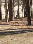 Hidden Treasure at Enid Lake-Crappie Fishing, Duck Hunting, ATVRiding, Ole Miss - Hytter